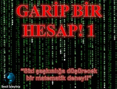 GARiP BiR HESAP 1 kapak görseli
