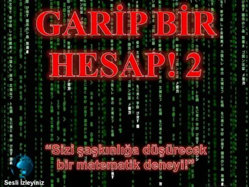 GARiP BiR HESAP 2 kapak görseli