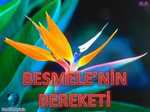 Besmelenin Bereketi kapak görseli