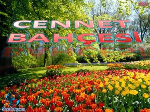 Cennet Bahçesi