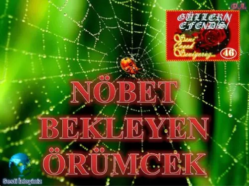 Güllerin Efendisi: 46-Nöbet Bekleyen Örümcek
