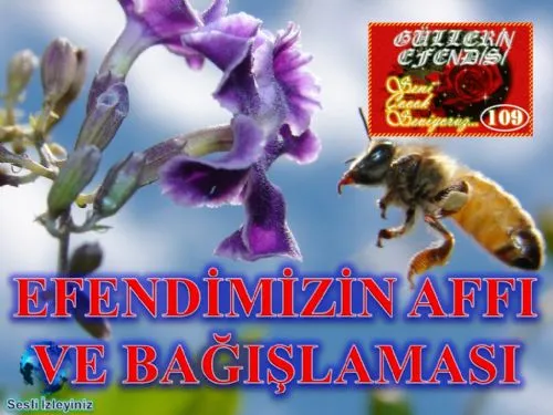 Güllerin Efendisi: 109-Efendimizin Affı ve Bağışlaması