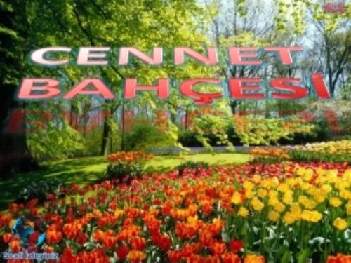 Cennet Bahçesi