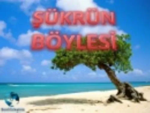 Şükrün Böylesi