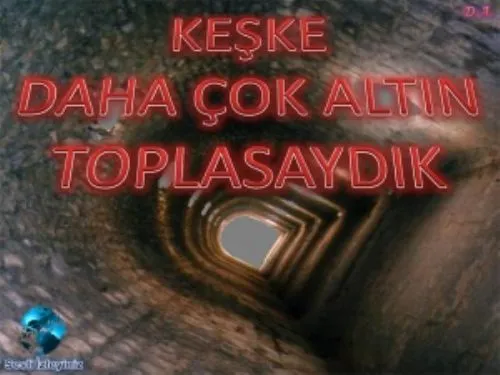Keşke Daha Fazla Altın Toplasaydık