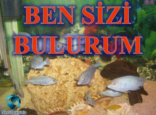 Ben Sizi Bulurum