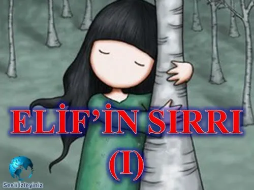Elif’in Sırrı 1