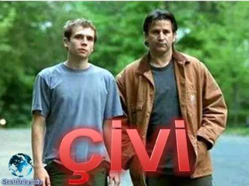 ÇİVİ